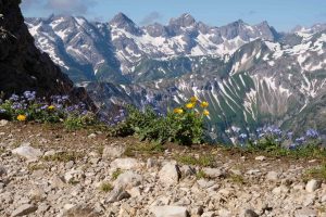 Hochvogel - Kaltwinkelscharte