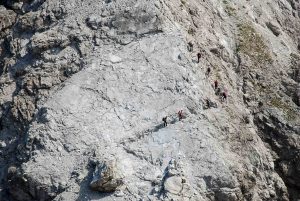 Steinbocktour - Aufstieg Bockkarkopf