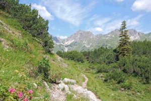 Steinbocktour - Blick Richtung Mindelheimer Hütte