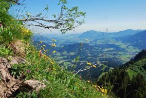 Steinbocktour Blick zum Grünten
