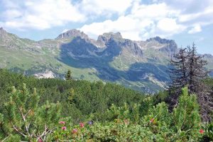 Steinbocktour - Blick zum Krumbacher Höhenweg