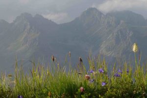 Steinbocktour - Morgen an der Rappenseehütte
