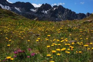 Stille Silvretta - Berge westlich der Jamtalhütte