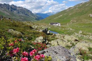 Stille Silvretta - Heidelberger Hütte