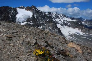 Stille Silvretta - Piz Futschöl mit Hängegletscher