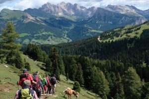 Foto Dolomiten - Unterhalb des Plattkofels