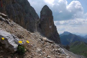 Karnischer HW - Königswandtürml