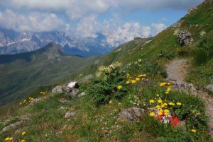 Foto Karnischer Höhenweg - Zwischen Pfannspitze und Großer Kinigat
