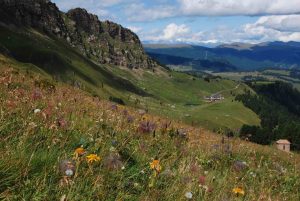 Seiser Alm - Mahlknechthütte