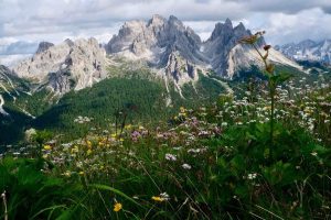 Sextener Dolomiten - Cadini Gruppe